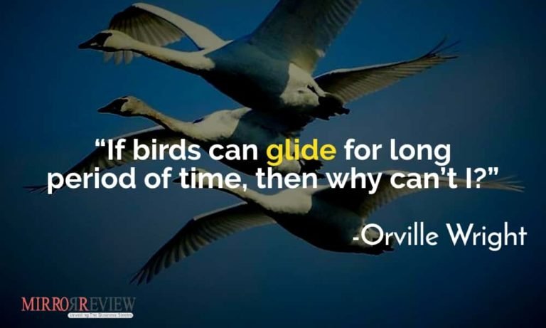 6 Birds Quotes Will Make You Fly High Up In Your Life