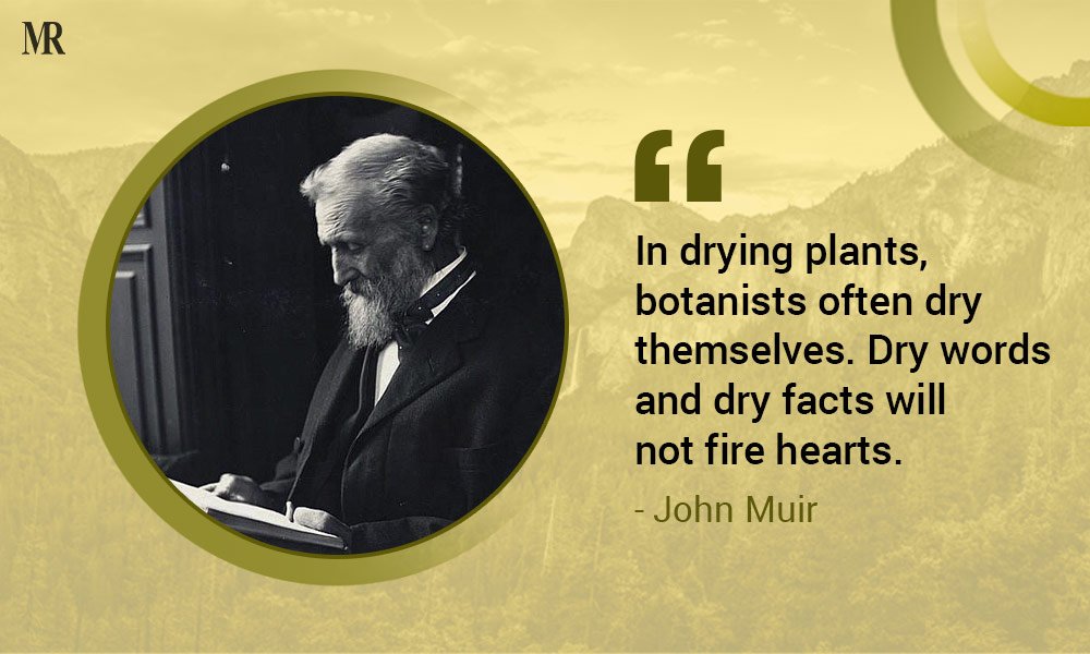 John Muir quotes