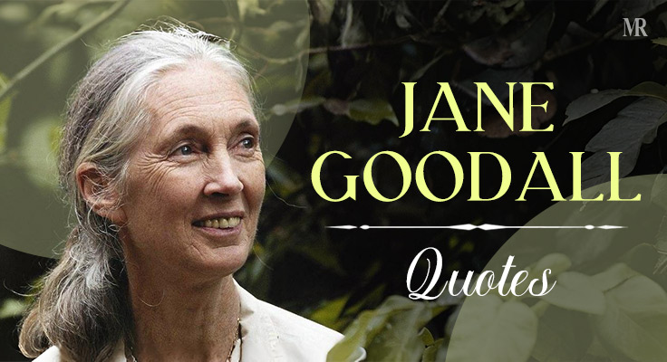 Jane Goodall Quotes