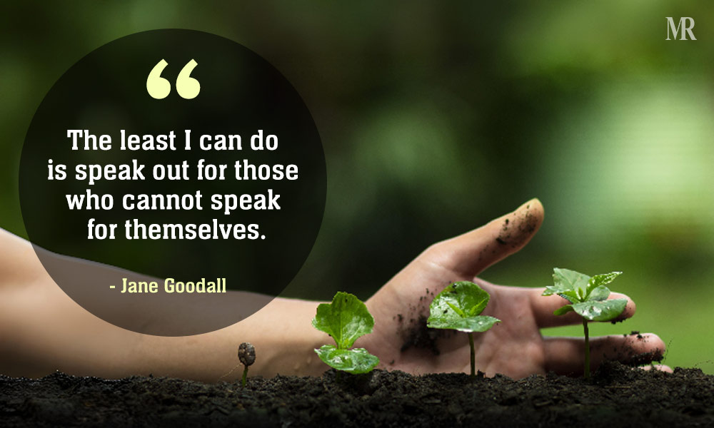 Jane Goodall Quotes